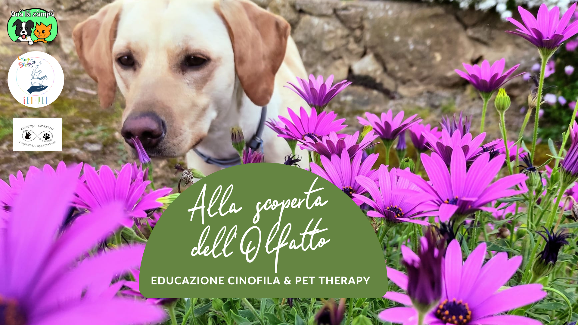 Eventi “MondoCane” : Alla scoperta dell’Olfatto!