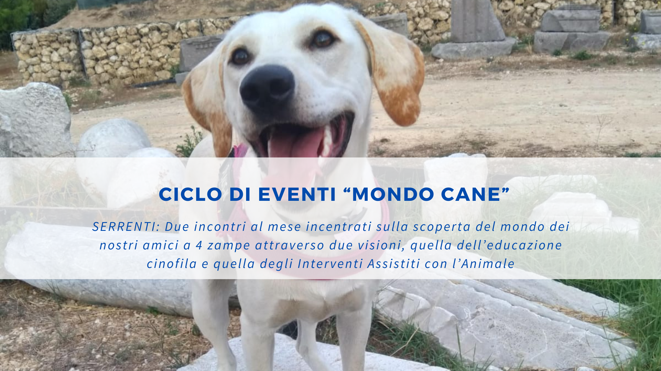 Ciclo di Eventi “MondoCane”: Educazione Cinofila & Pet Therapy arrivano a Serrenti!